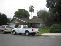 �s���Y ���� �J�� �I�����W�J�E���e�B