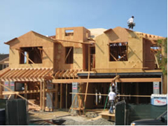 �s���Y ���� �J�� �I�����W�J�E���e�B