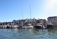 ���T���[���X�s���Y